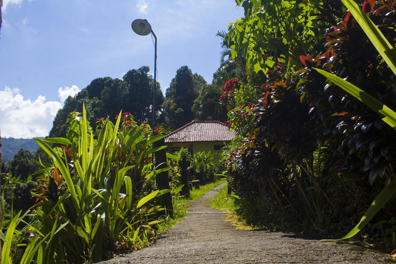 Aryautama Garden Villa Munduk Zewnętrze zdjęcie