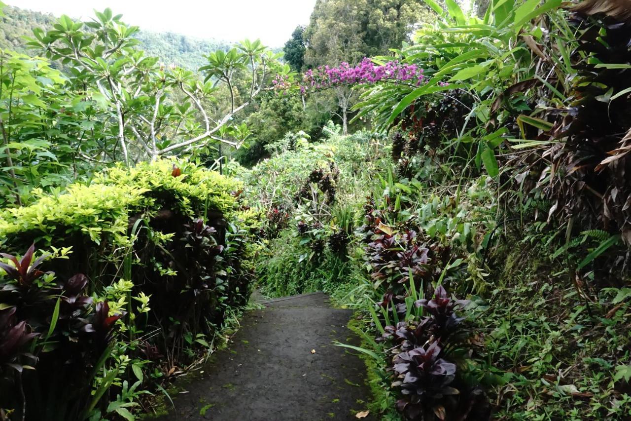 Aryautama Garden Villa Munduk Zewnętrze zdjęcie